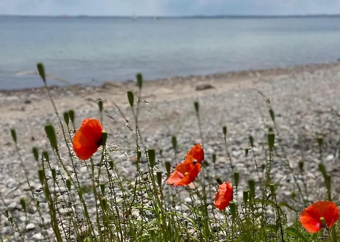 Casa de Férias Thors Blockhaus